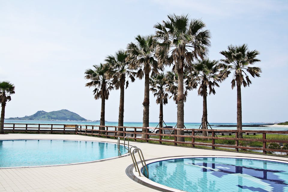Outdoor swimming pools with clear blue water beside palm trees near the ocean